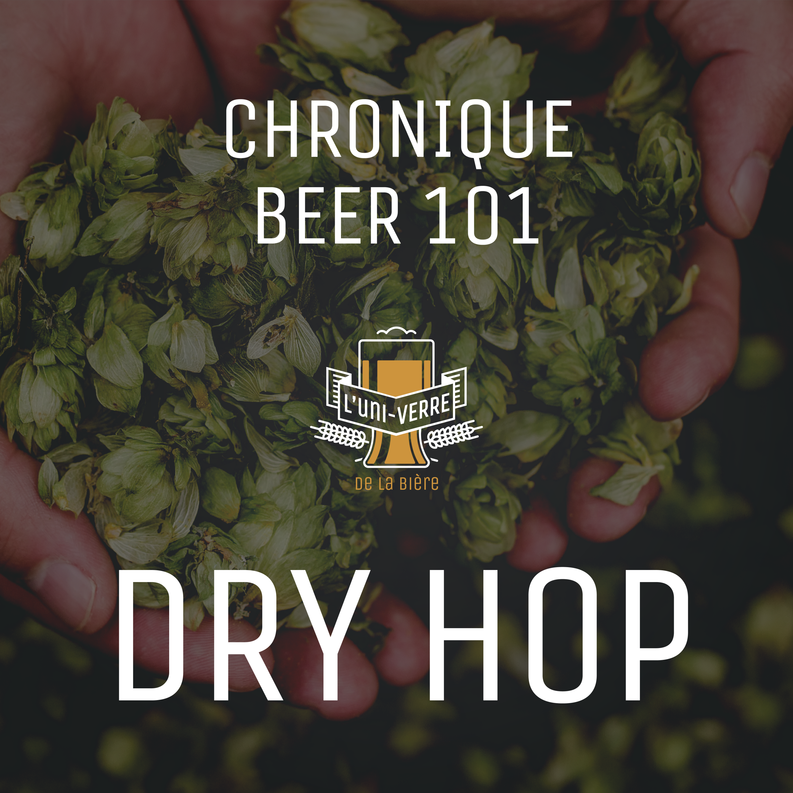 dry hop